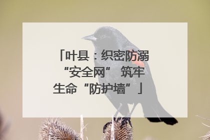 叶县：织密防溺“安全网” 筑牢生命“防护墙”