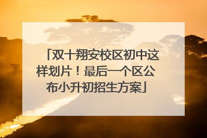 双十翔安校区初中这样划片！最后一个区公布小升初招生方案