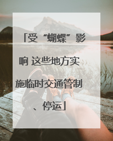 受“蝴蝶”影响 这些地方实施临时交通管制、停运