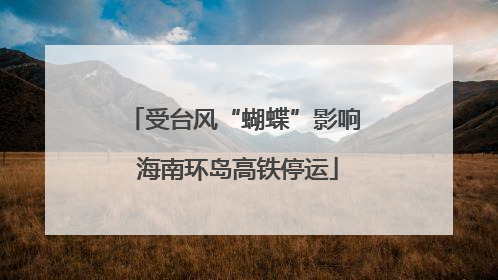 受台风“蝴蝶”影响 海南环岛高铁停运