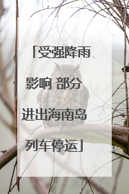 受强降雨影响 部分进出海南岛列车停运