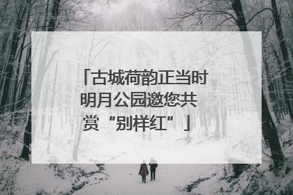 古城荷韵正当时 明月公园邀您共赏“别样红”