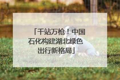 千站万枪！中国石化构建湖北绿色出行新格局