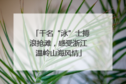 千名“泳”士搏浪抢滩，感受浙江温岭山海风情