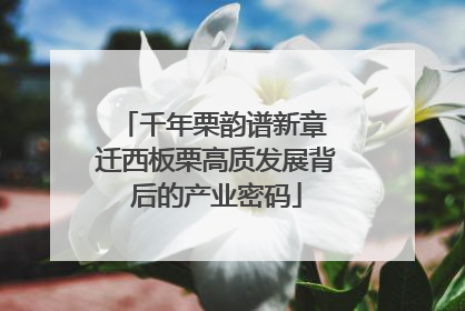 千年栗韵谱新章 迁西板栗高质发展背后的产业密码