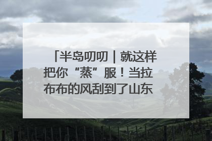 半岛叨叨｜就这样把你“蒸”服！当拉布布的风刮到了山东馒头界……