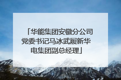 华能集团安徽分公司党委书记马冰武履新华电集团副总经理