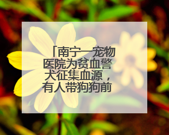 南宁一宠物医院为贫血警犬征集血源，有人带狗狗前来抽血配型