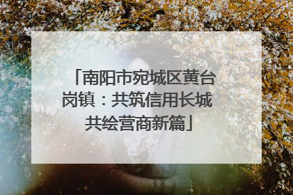 南阳市宛城区黄台岗镇：共筑信用长城 共绘营商新篇