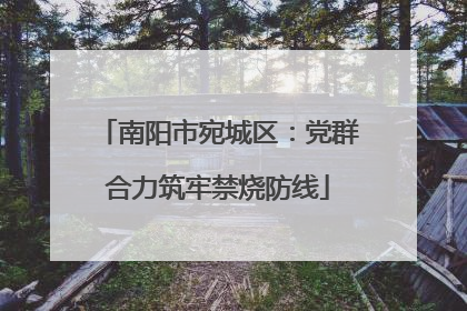 南阳市宛城区：党群合力筑牢禁烧防线