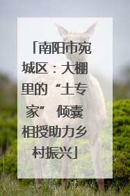 南阳市宛城区：大棚里的“土专家” 倾囊相授助力乡村振兴