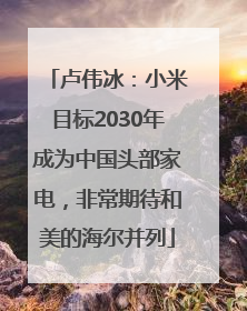 卢伟冰：小米目标2030年成为中国头部家电，非常期待和美的海尔并列