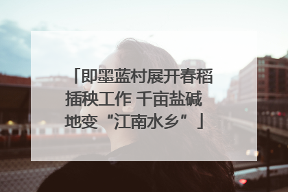 即墨蓝村展开春稻插秧工作 千亩盐碱地变“江南水乡”