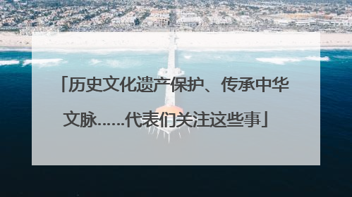 历史文化遗产保护、传承中华文脉……代表们关注这些事