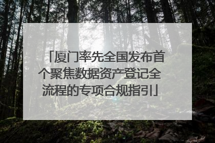 厦门率先全国发布首个聚焦数据资产登记全流程的专项合规指引
