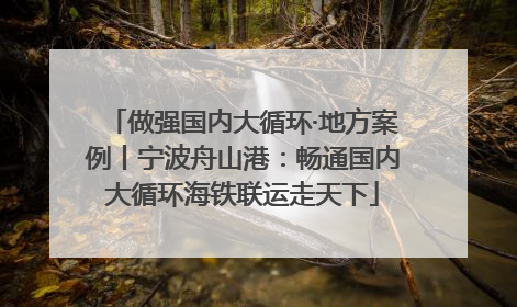 做强国内大循环·地方案例丨宁波舟山港：畅通国内大循环海铁联运走天下