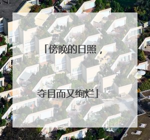 傍晚的日照，夺目而又绚烂