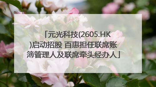 元光科技(2605.HK)启动招股 百惠担任联席账簿管理人及联席牵头经办人