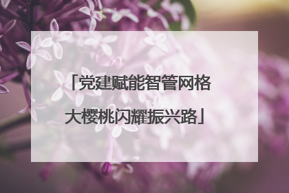 党建赋能智管网格 大樱桃闪耀振兴路
