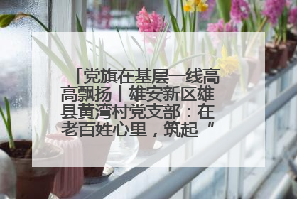 党旗在基层一线高高飘扬丨雄安新区雄县黄湾村党支部：在老百姓心里，筑起“一座山”