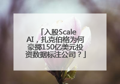 入股Scale AI，扎克伯格为何豪掷150亿美元投资数据标注公司？