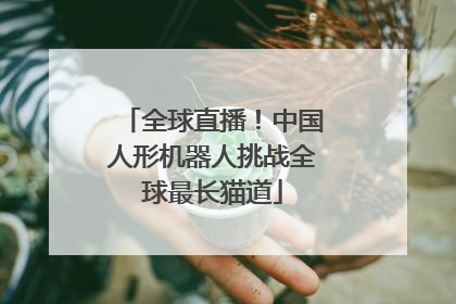 全球直播！中国人形机器人挑战全球最长猫道