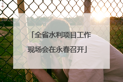 全省水利项目工作现场会在永春召开