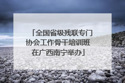 全国省级残联专门协会工作骨干培训班在广西南宁举办