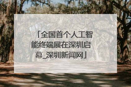 全国首个人工智能终端展在深圳启幕_深圳新闻网
