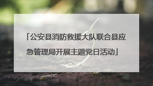 公安县消防救援大队联合县应急管理局开展主题党日活动
