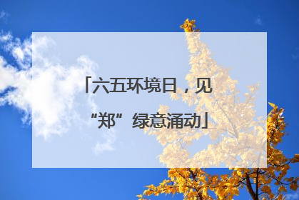 六五环境日，见“郑”绿意涌动