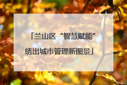 兰山区“智慧赋能”绣出城市管理新图景