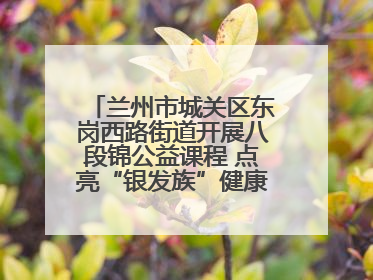 兰州市城关区东岗西路街道开展八段锦公益课程 点亮“银发族”健康活力生活