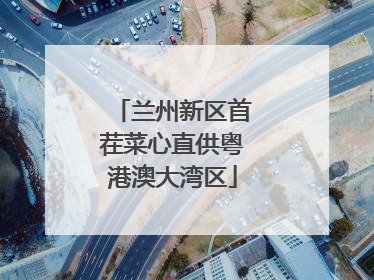 兰州新区首茬菜心直供粤港澳大湾区