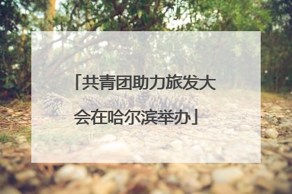 共青团助力旅发大会在哈尔滨举办