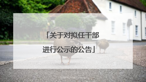 关于对拟任干部进行公示的公告