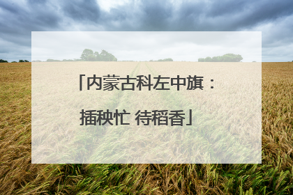 内蒙古科左中旗：插秧忙 待稻香