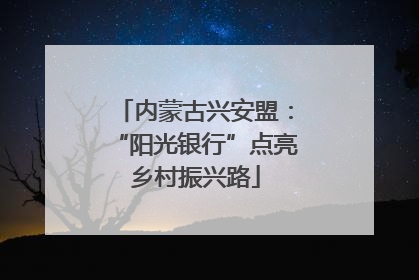 内蒙古兴安盟：“阳光银行”点亮乡村振兴路