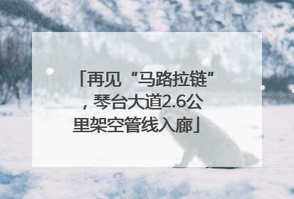 再见“马路拉链”，琴台大道2.6公里架空管线入廊