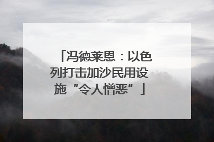 冯德莱恩：以色列打击加沙民用设施“令人憎恶”