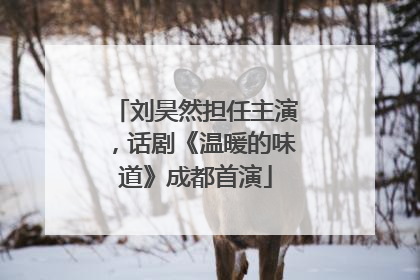 刘昊然担任主演，话剧《温暖的味道》成都首演