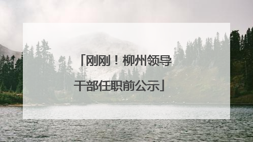 刚刚！柳州领导干部任职前公示