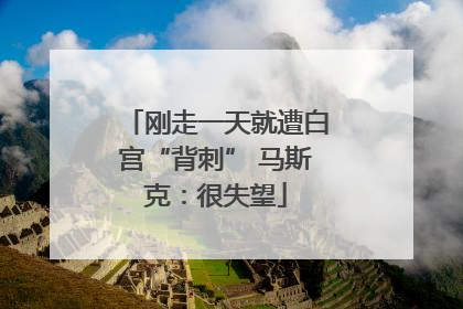 刚走一天就遭白宫“背刺” 马斯克：很失望