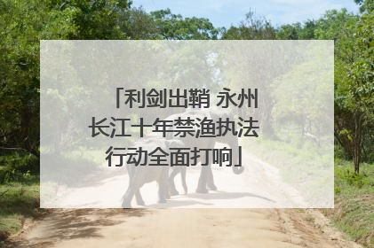 利剑出鞘 永州长江十年禁渔执法行动全面打响