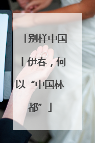 别样中国丨伊春，何以“中国林都”