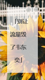 别让流量毁了韦东奕