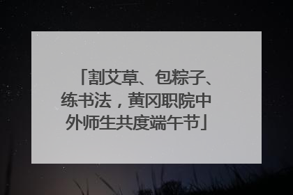 割艾草、包粽子、练书法，黄冈职院中外师生共度端午节