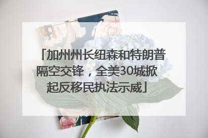 加州州长纽森和特朗普隔空交锋，全美30城掀起反移民执法示威