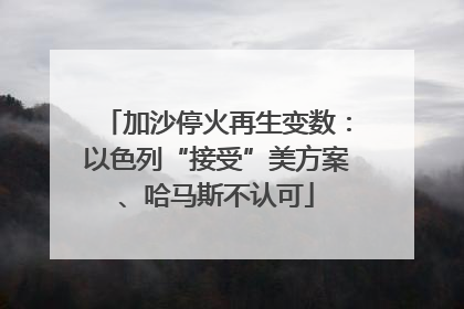加沙停火再生变数：以色列“接受”美方案、哈马斯不认可