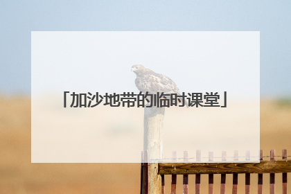 加沙地带的临时课堂